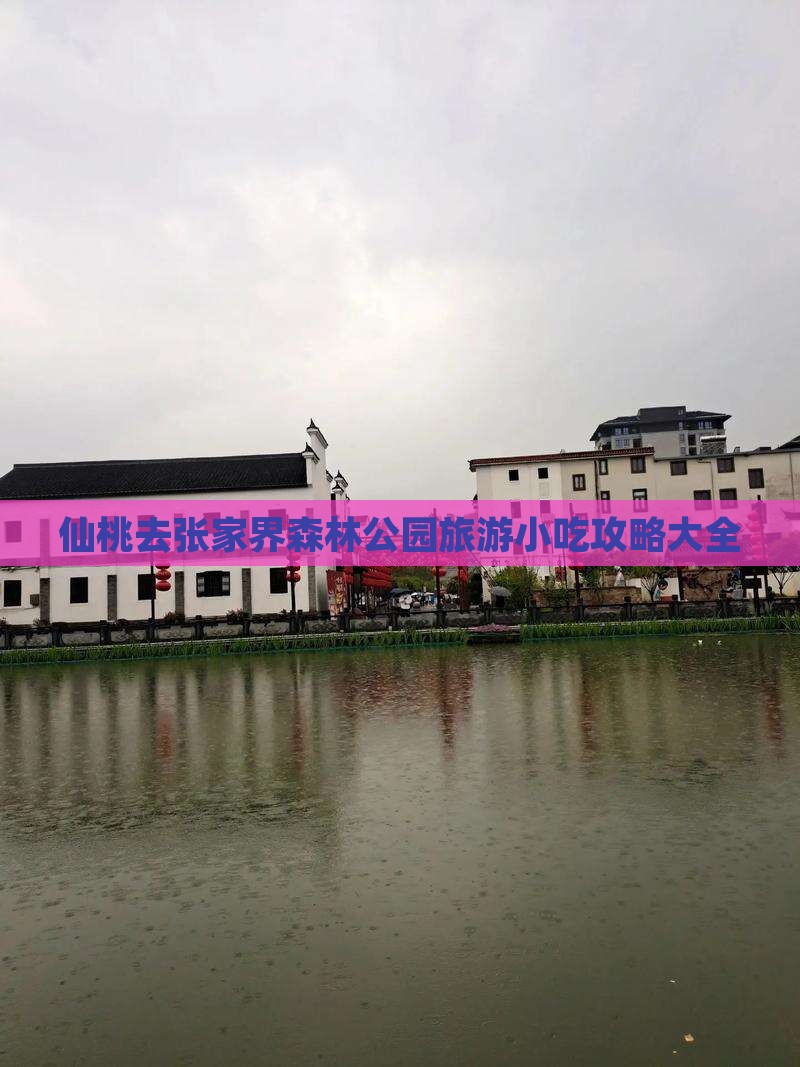 仙桃去张家界森林公园旅游小吃