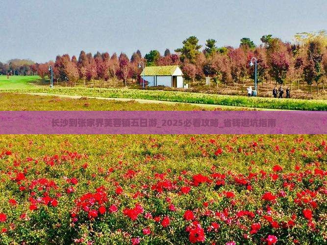 长沙到张家界芙蓉镇五日游