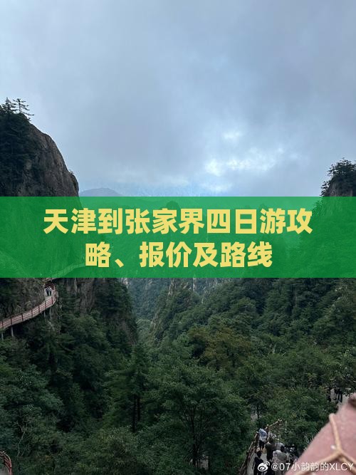 天津到张家界四日游