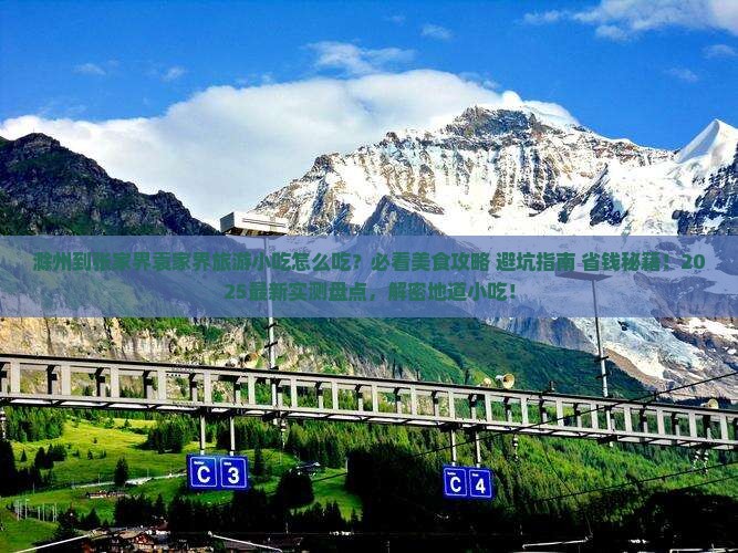 滁州到张家界袁家界旅游小吃