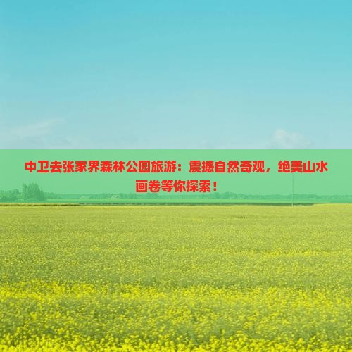 中卫去张家界森林公园旅游