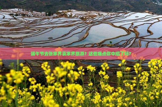 端午节去张家界袁家界旅游