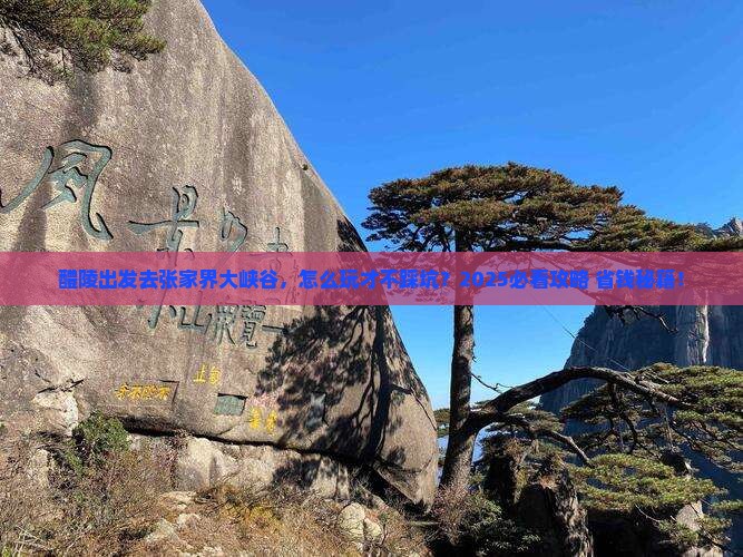 醴陵去张家界大峡谷旅行社