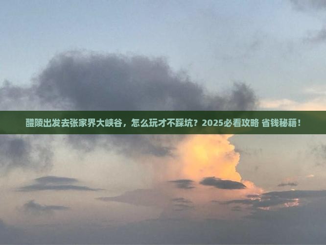 醴陵去张家界大峡谷旅行社