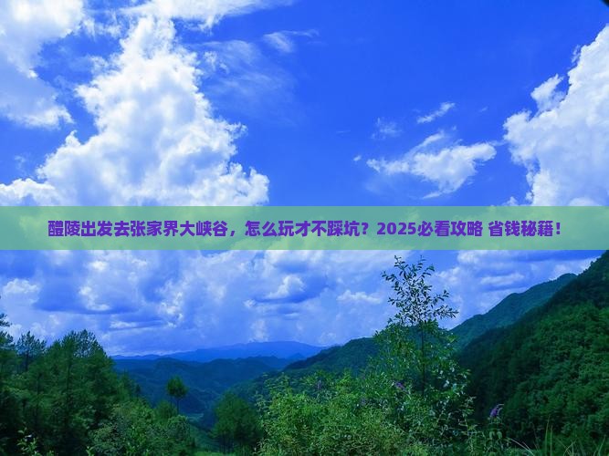 醴陵去张家界大峡谷旅行社