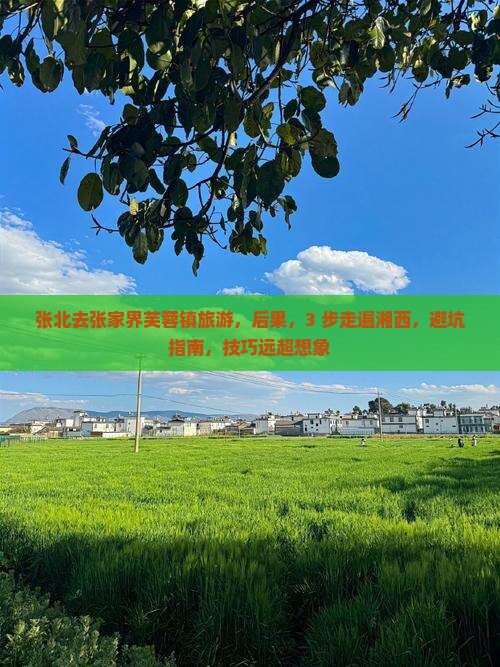 张北去张家界芙蓉镇旅游