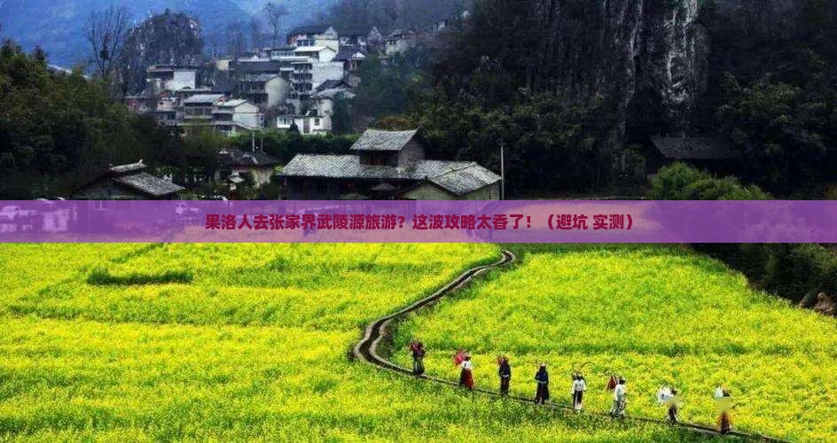 果洛去张家界武陵源旅游