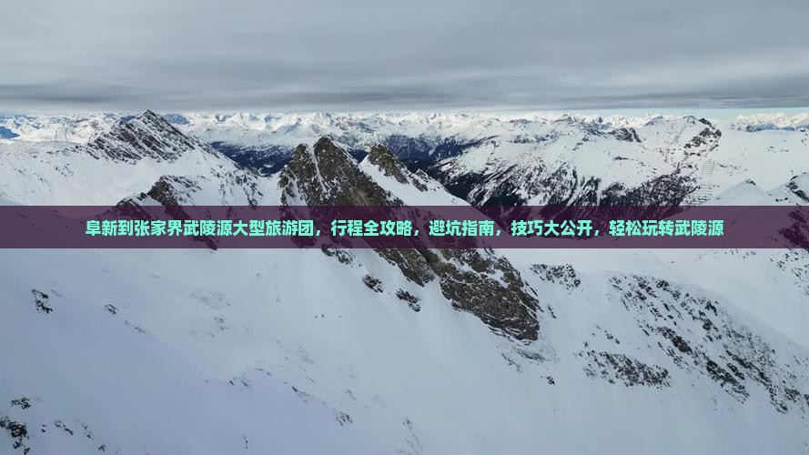 阜新到张家界武陵源大型旅游团