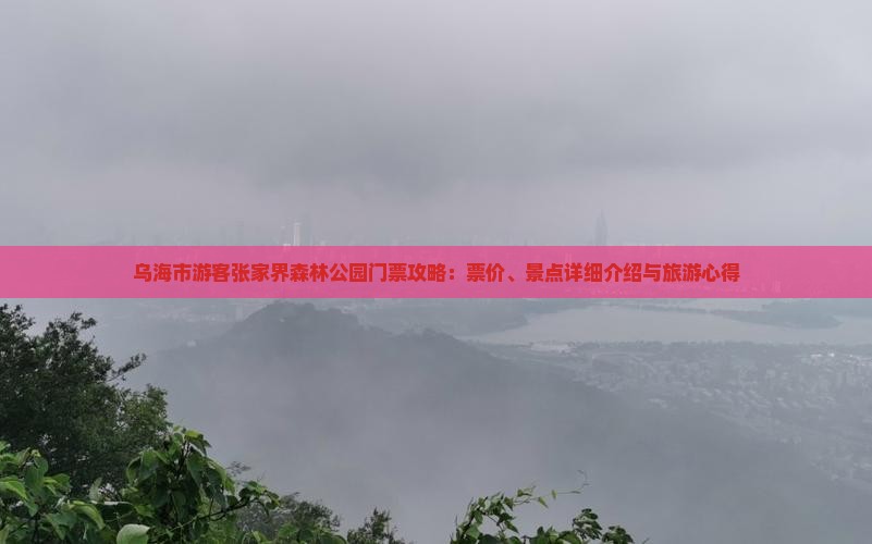 乌海市游客张家界森林公园门票攻略：票价、景点详细介绍与旅游心得