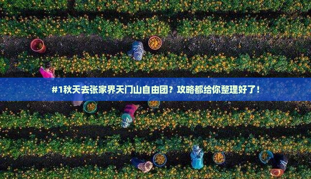 #1秋天去张家界天门山自由团？攻略都给你整理好了！