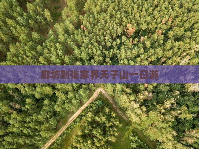 廊坊到张家界天子山一日游
