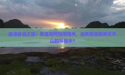 追寻自由之旅：我是如何独闯锦州，迷失在张家界天子山的怀抱中？