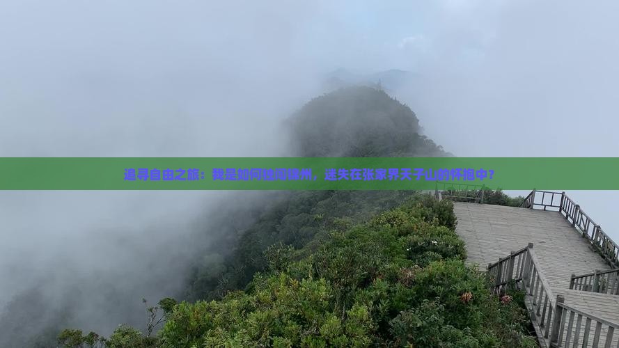 追寻自由之旅：我是如何独闯锦州，迷失在张家界天子山的怀抱中？