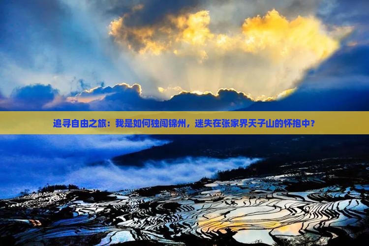 追寻自由之旅：我是如何独闯锦州，迷失在张家界天子山的怀抱中？