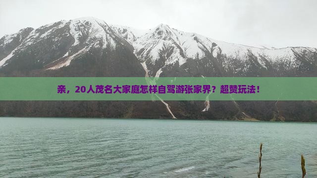 亲，20人茂名大家庭怎样自驾游张家界？超赞玩法！
