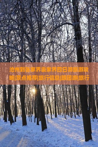 沧州到张家界袁家界四日游旅游攻略|景点推荐|旅行信息|跟团游|旅行社