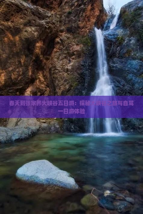 春天到张家界大峡谷五日游：探秘大峡谷之旅与自驾一日游体验