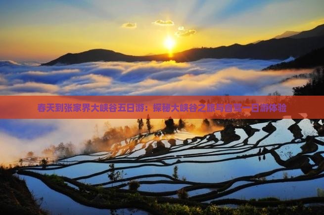 春天到张家界大峡谷五日游：探秘大峡谷之旅与自驾一日游体验
