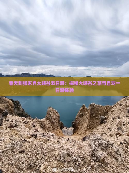 春天到张家界大峡谷五日游：探秘大峡谷之旅与自驾一日游体验