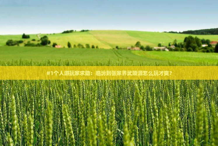 #1个人游玩家求助：临汾到张家界武陵源怎么玩才爽？