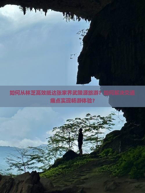 如何从林芝高效抵达张家界武陵源旅游？如何解决交通痛点实现畅游体验？