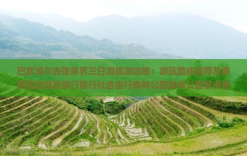 巴彦淖尔去张家界三日游旅游攻略：游玩路线推荐及费用信息搜索旅行旅行社自由行森林公园森林公园景点看看