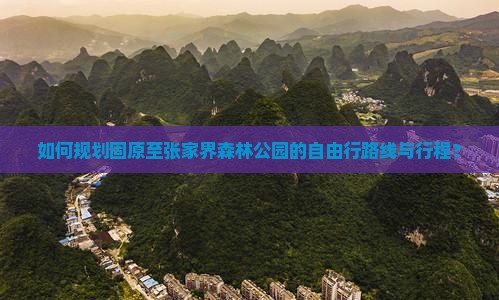 如何规划固原至张家界森林公园的自由行路线与行程？