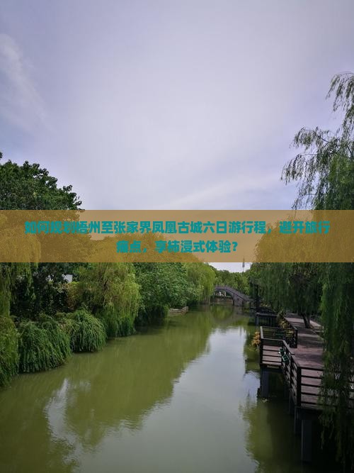 如何规划梧州至张家界凤凰古城六日游行程，避开旅行痛点，享柿浸式体验？