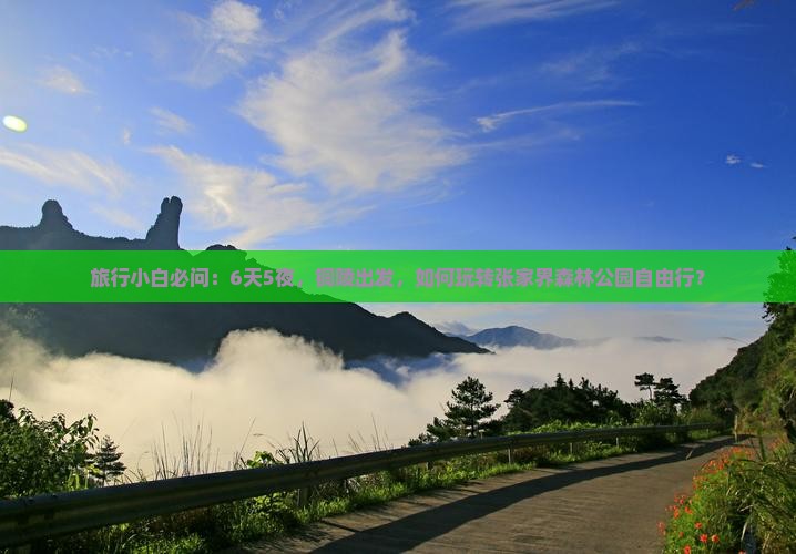 旅行小白必问：6天5夜，铜陵出发，如何玩转张家界森林公园自由行？