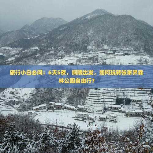 旅行小白必问：6天5夜，铜陵出发，如何玩转张家界森林公园自由行？