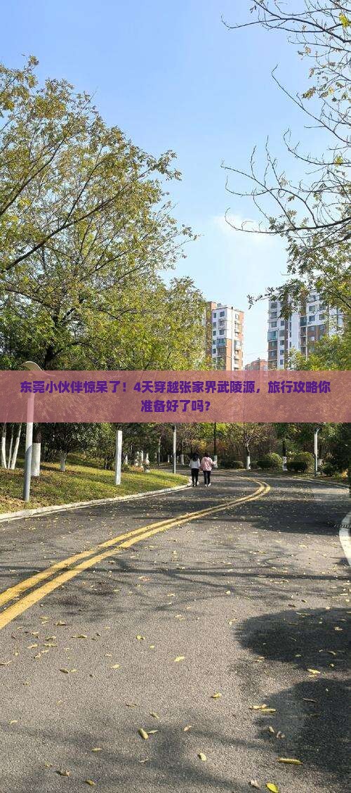 东莞小伙伴惊呆了！4天穿越张家界武陵源，旅行攻略你准备好了吗？
