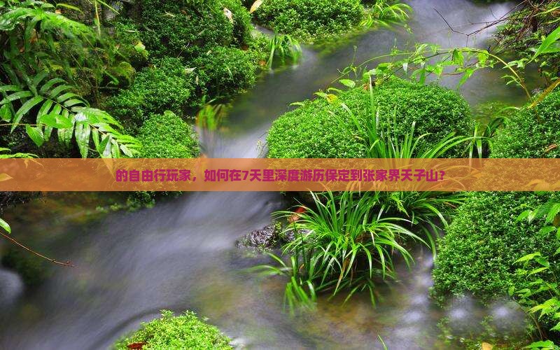 的自由行玩家，如何在7天里深度游历保定到张家界天子山？