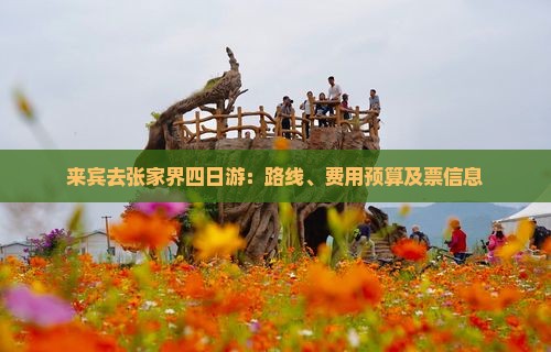 来宾去张家界四日游：路线、费用预算及票信息