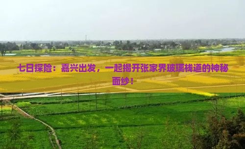 七日探险：嘉兴出发，一起揭开张家界玻璃栈道的神秘面纱！