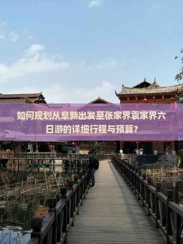 如何规划从阜新出发至张家界袁家界六日游的详细行程与预算？