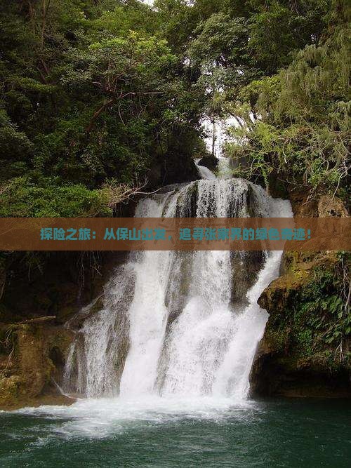 探险之旅：从保山出发，追寻张家界的绿色奇迹！
