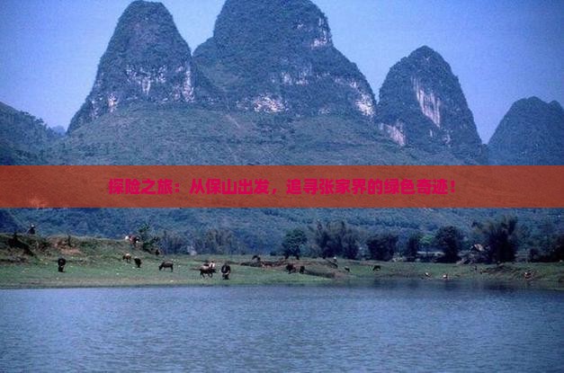 探险之旅：从保山出发，追寻张家界的绿色奇迹！