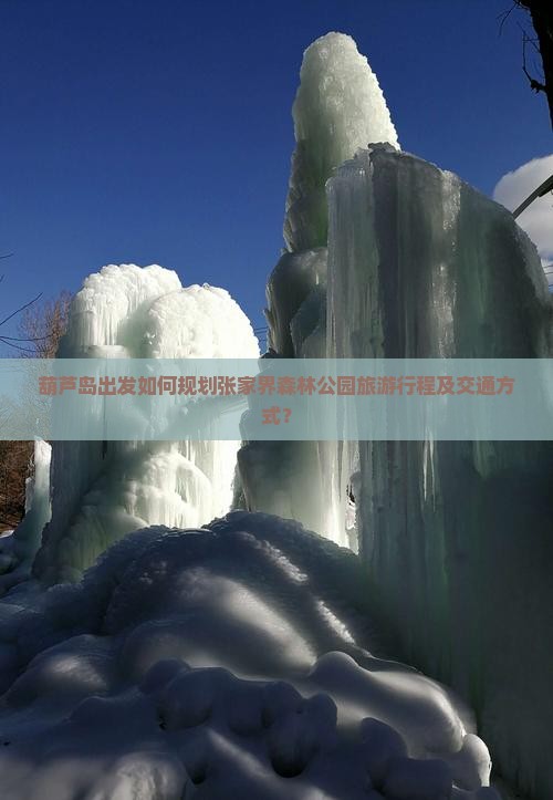葫芦岛出发如何规划张家界森林公园旅游行程及交通方式？