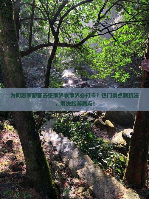 为何思茅游客去张家界袁家界必打卡？热门景点新玩法，解决旅游痛点！