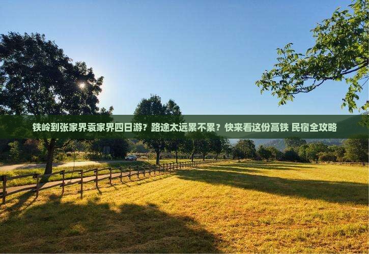 铁岭到张家界袁家界四日游？路途太远累不累？快来看这份高铁+民宿全攻略