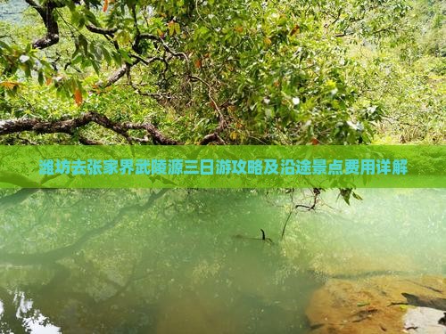 潍坊去张家界武陵源三日游攻略及沿途景点费用详解
