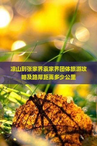 凉山到张家界袁家界团体旅游攻略及路犀距离多少公里