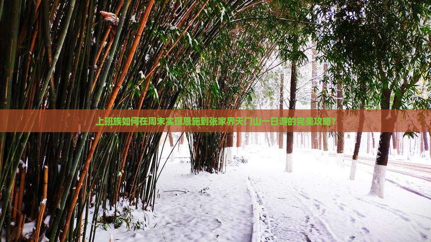 上班族如何在周末实现恩施到张家界天门山一日游的完美攻略？