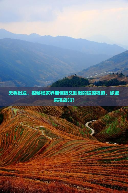 无锡出发，探秘张家界那惊险又刺激的玻璃栈道，你敢来挑战吗？