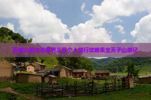 石嘴山前往张家界三日个人旅行攻略乘坐天子山游记