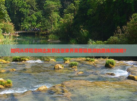 如何从呼和浩特出发前往张家界芙蓉镇旅游的路线和攻略？