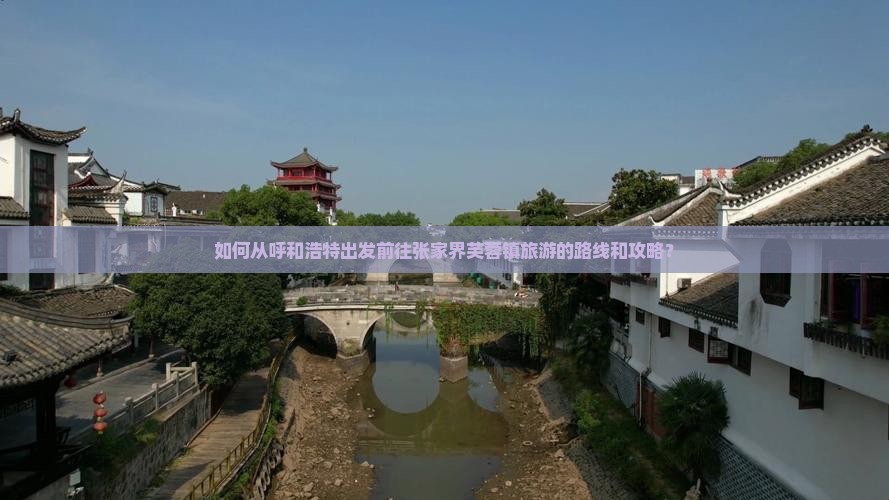 如何从呼和浩特出发前往张家界芙蓉镇旅游的路线和攻略？