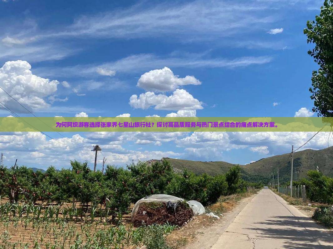 为何阿坝游客选择张家界七星山旅行社？探讨高品质服务与热门景点结合的痛点解决方案。
