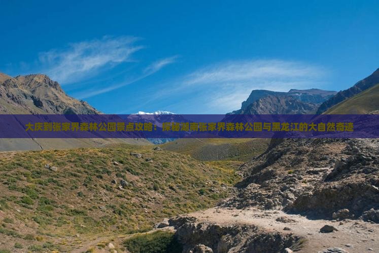 大庆到张家界森林公园景点攻略：探秘湖南张家界森林公园与黑龙江的大自然奇迹