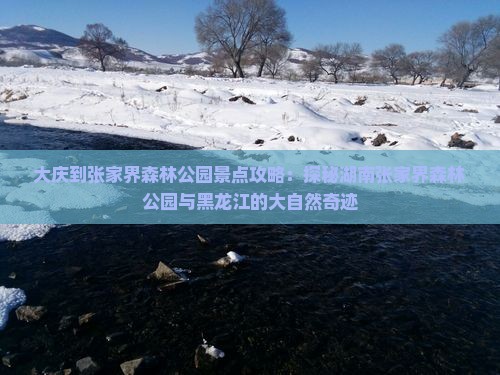 大庆到张家界森林公园景点攻略：探秘湖南张家界森林公园与黑龙江的大自然奇迹